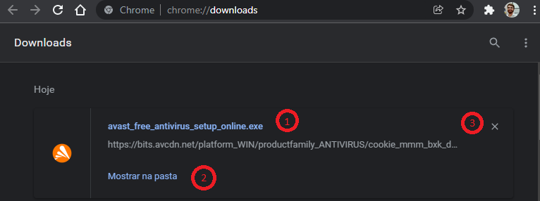 Guia Download